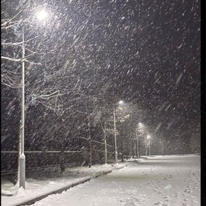 飘雪
