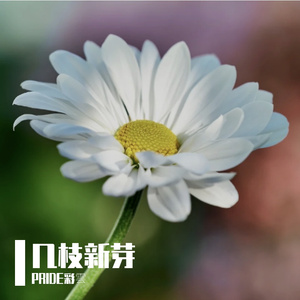 凤凰