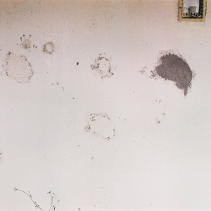 Gülleri Derdi Fenalar