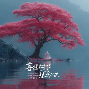菩提树下想念你（翻自 何欢浪）
