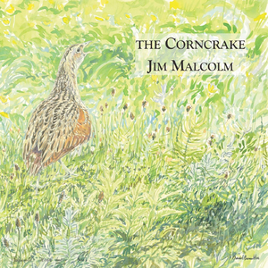 The Echo Mocks the Corncrake