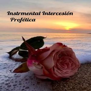 Concentración De La Atención