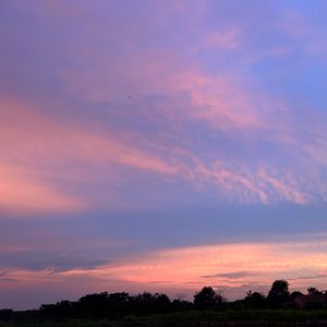 乡村道路的岁月静好