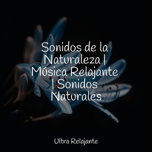 Al Otro Lado Del Cosmos