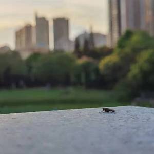 明天就要放假了，今晚衣服不洗了