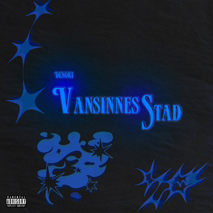 Vansinnesstad
