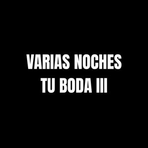 Varias Noches Tu Boda III