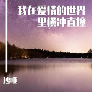 我忘了怎么哭-大欢 伴奏