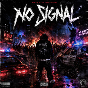 NO SIGNAL