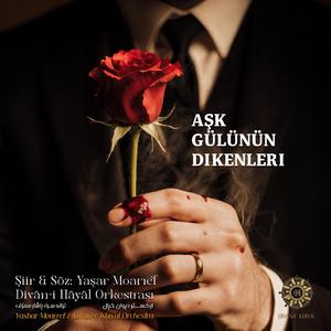 Aşk gülünün dikenleri