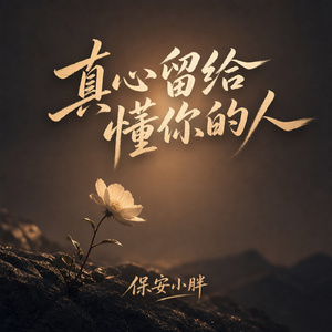 真心留给懂你的人