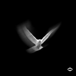 Who Raised Me (feat. Syuliphe Auv)