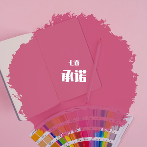 来自一个爱她的的承诺