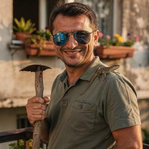 PLUGUȘORUL ECONOMIEI (Viral Șopârle Edition)