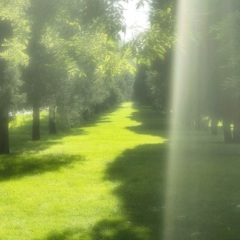 我以为是爱的降临 (0.8x)