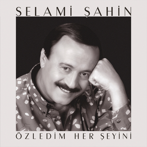 Özledim Her Şeyini