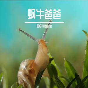 《梦想启航》葵葵