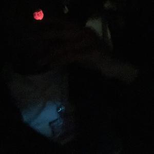 Do It (feat. YnBsckdoe)