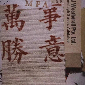 消愁.毛不易（翻自 我今夜失眠）