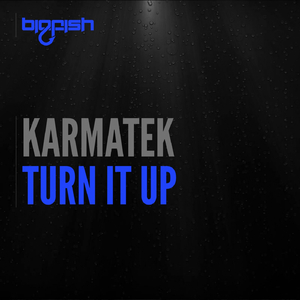 Turn It Up (Original Mix)