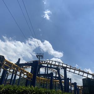 我在人民广场吃炸鸡（翻自 赵大格）