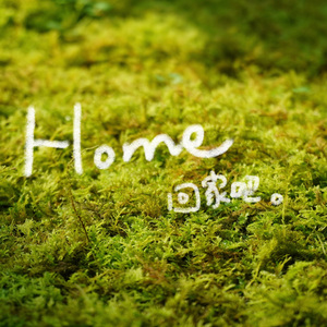 Calling Me Home（回家）