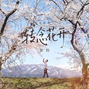 转念花开(治愈版)