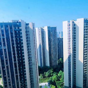 明日的阳光相约