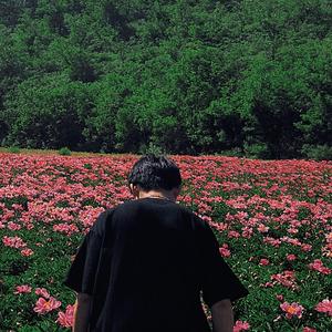 HESTIA（cover：李京泽）