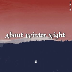 About Winter Night