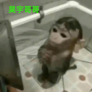 diss. 昊宇(马猴哥哥)