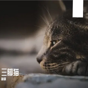 三脚猫-整曲 伴奏