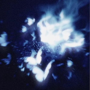 没有你的冬天 伴奏