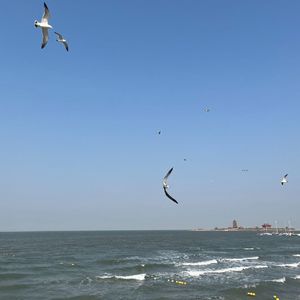 置底 (快来找我混音版)