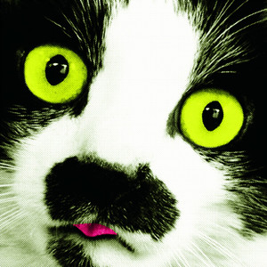 石神井川であいましょう