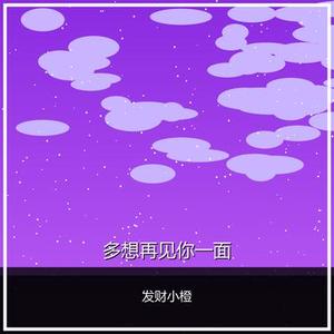 多想再见你一面