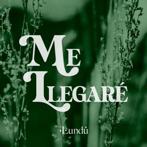 Me Llegaré (Cover)