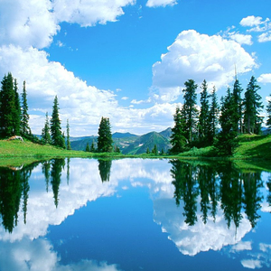 《茧雨》依旧-悲伤-流行