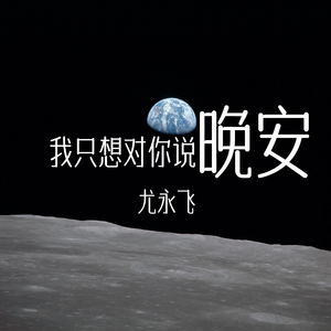 我只想对你说晚安