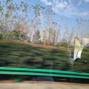 你是我的白马王子