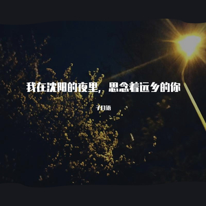 我在沈阳的夜里，思念着远乡的你(Demo)