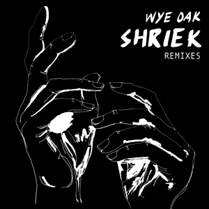 Shriek (DJ Daylight Remix)