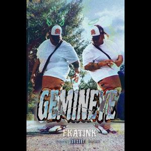 GEMINEYE