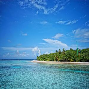 Canon Variations (Little Star)