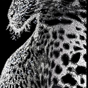 Swarovski (feat. eavy)