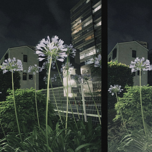 UNTITLED - 2107210138