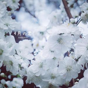 4月の君