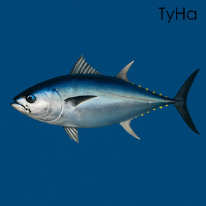 Туна