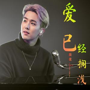 再见我的爱人