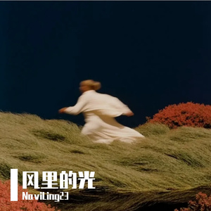 风里的光